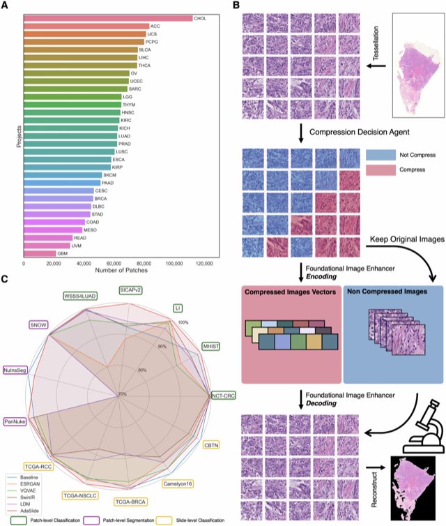 Overview of the AdaSlide adaptive whole-slide image compression framework