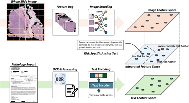Overview of the CALM multimodal image-text framework