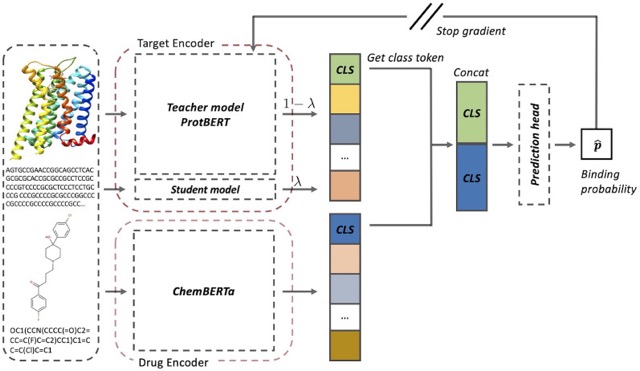 DLM-DTI model workflow from drug and target encoders to interaction prediction