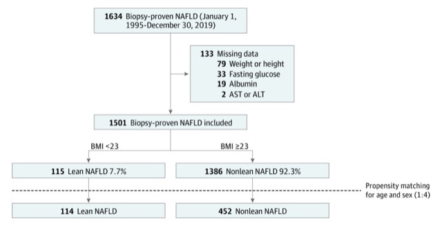 Study flow for evaluating fibrosis scores in lean adults with NAFLD