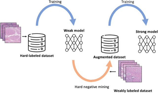Overview of the hard negative mining training and inference pipeline