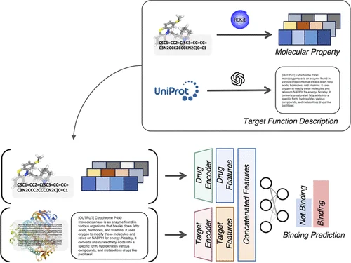 MMF-DTI multi-modal fusion architecture for drug–target interaction prediction